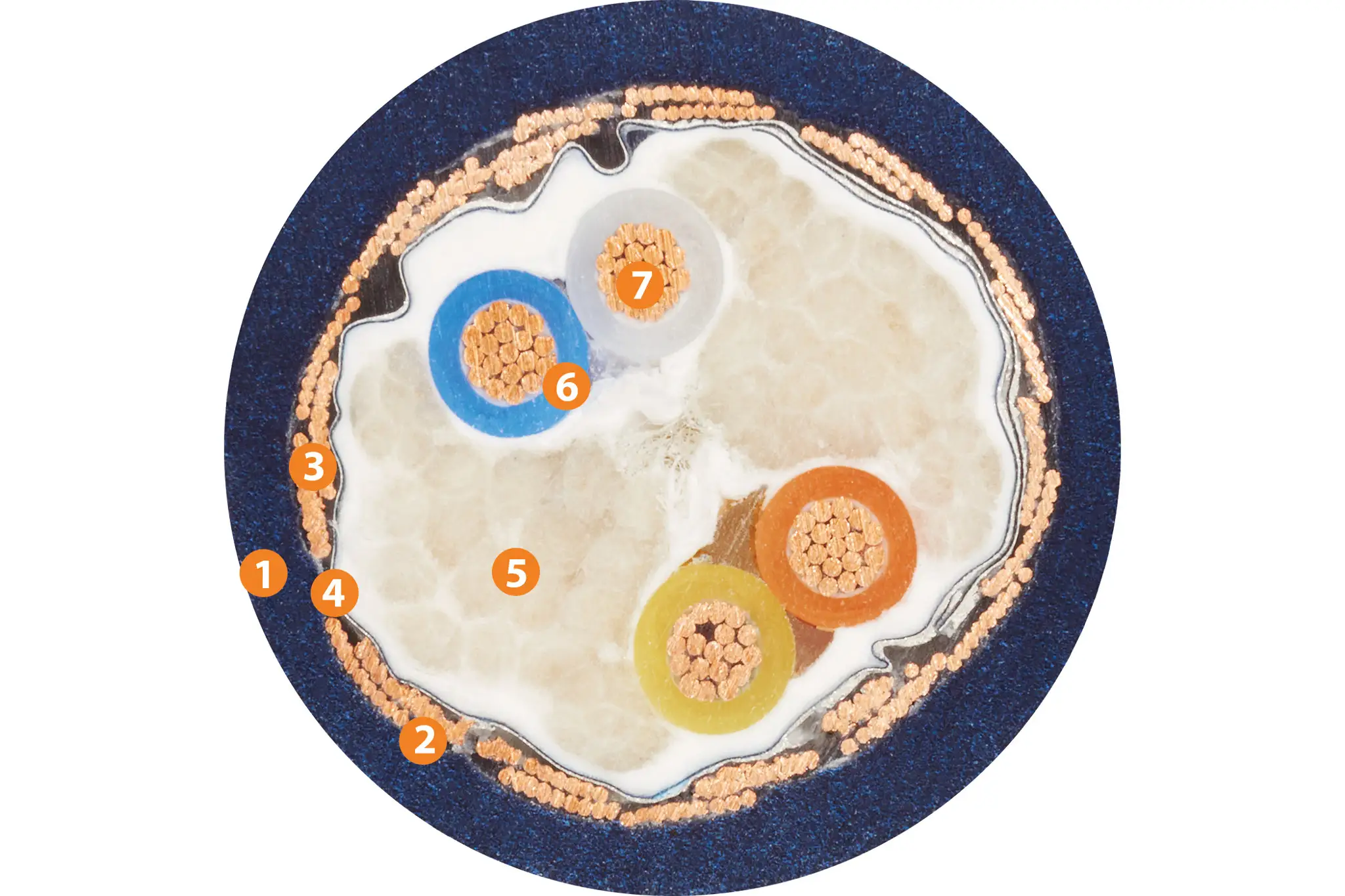 1. Außenmantel: Mit Druck extrudierte PUR-Mischung 2. Gesamtbandierung: Kunststoffvlies 3. Gesamtschirm: Torsionsbeständiges Geflecht aus verzinnten Kupferdrähten 4. Bandierung: Gleitende PTFE-Folie 5. Füller: Kunststofffäden 6. Aderisolation: Mechanisch hochwertige TPE-Mischung (entsprechend der Busspezifikation) 7. Leiter: Feindrahtige Litze in besonders biegebeständiger Ausführung aus verzinnten Kupferdrähten