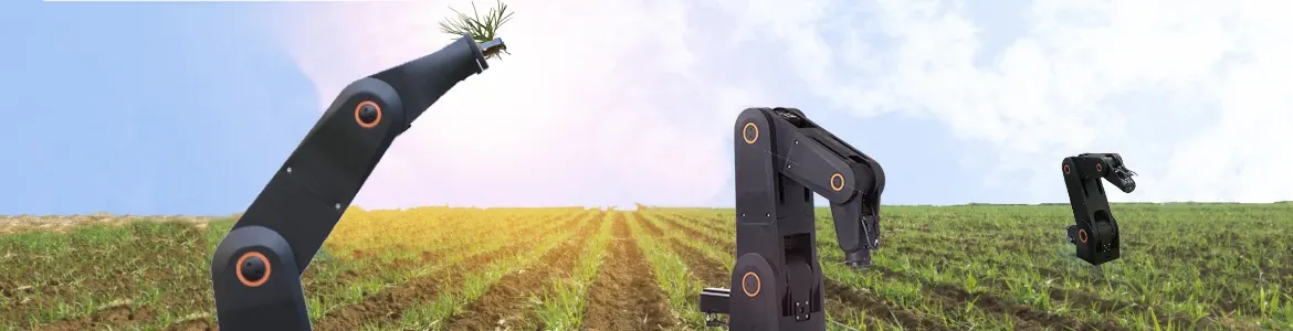 Three delta robots destroy weeds in a field