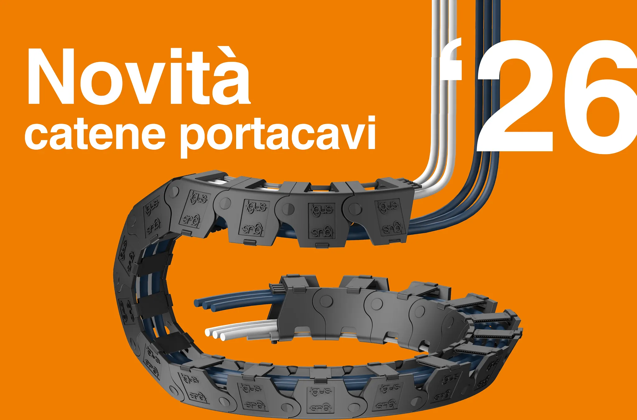 Novità 2024