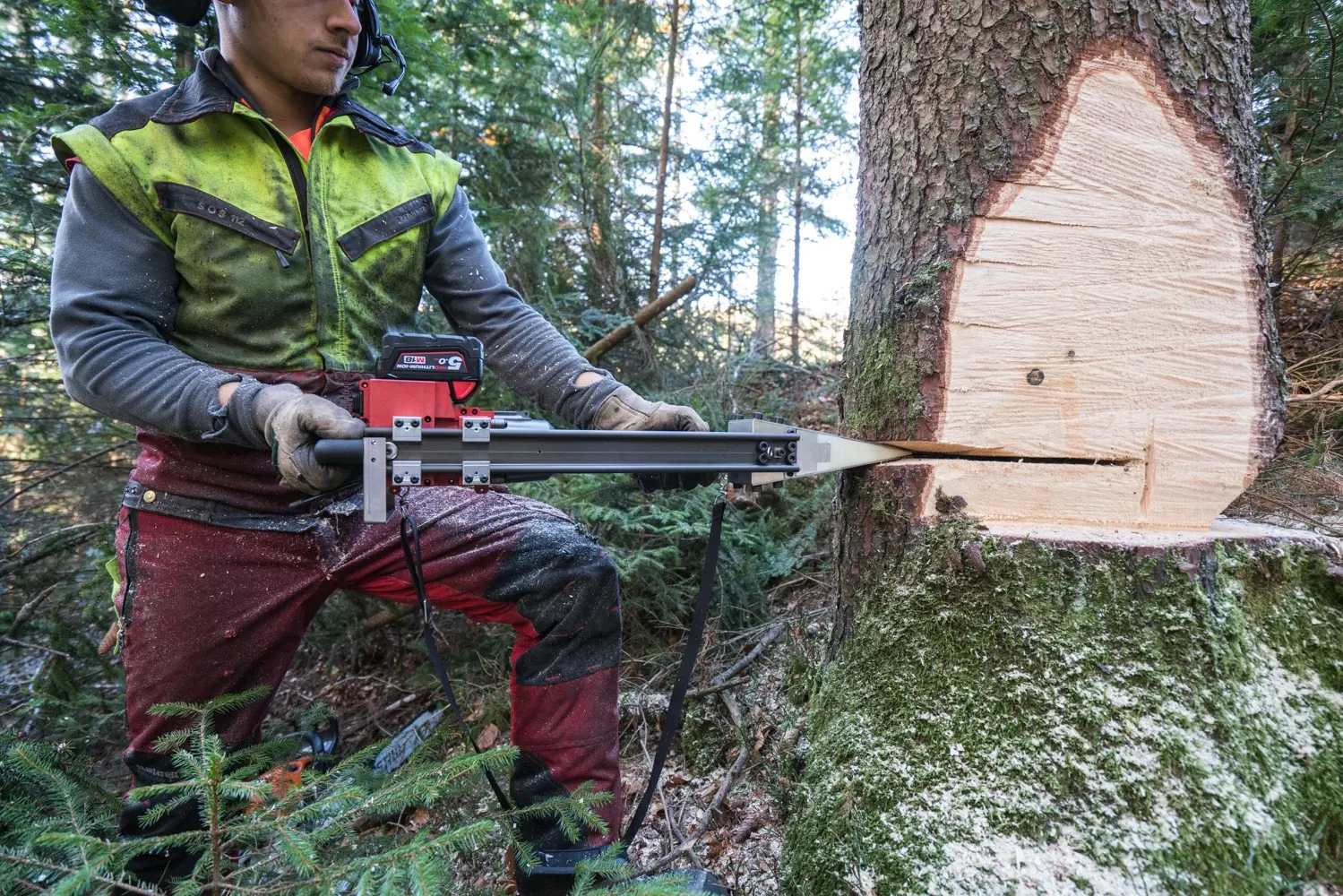 Cuña de tala en uso