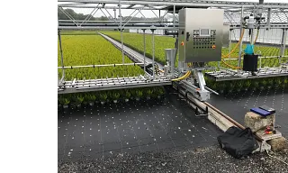 i.Sense in a watering trolley