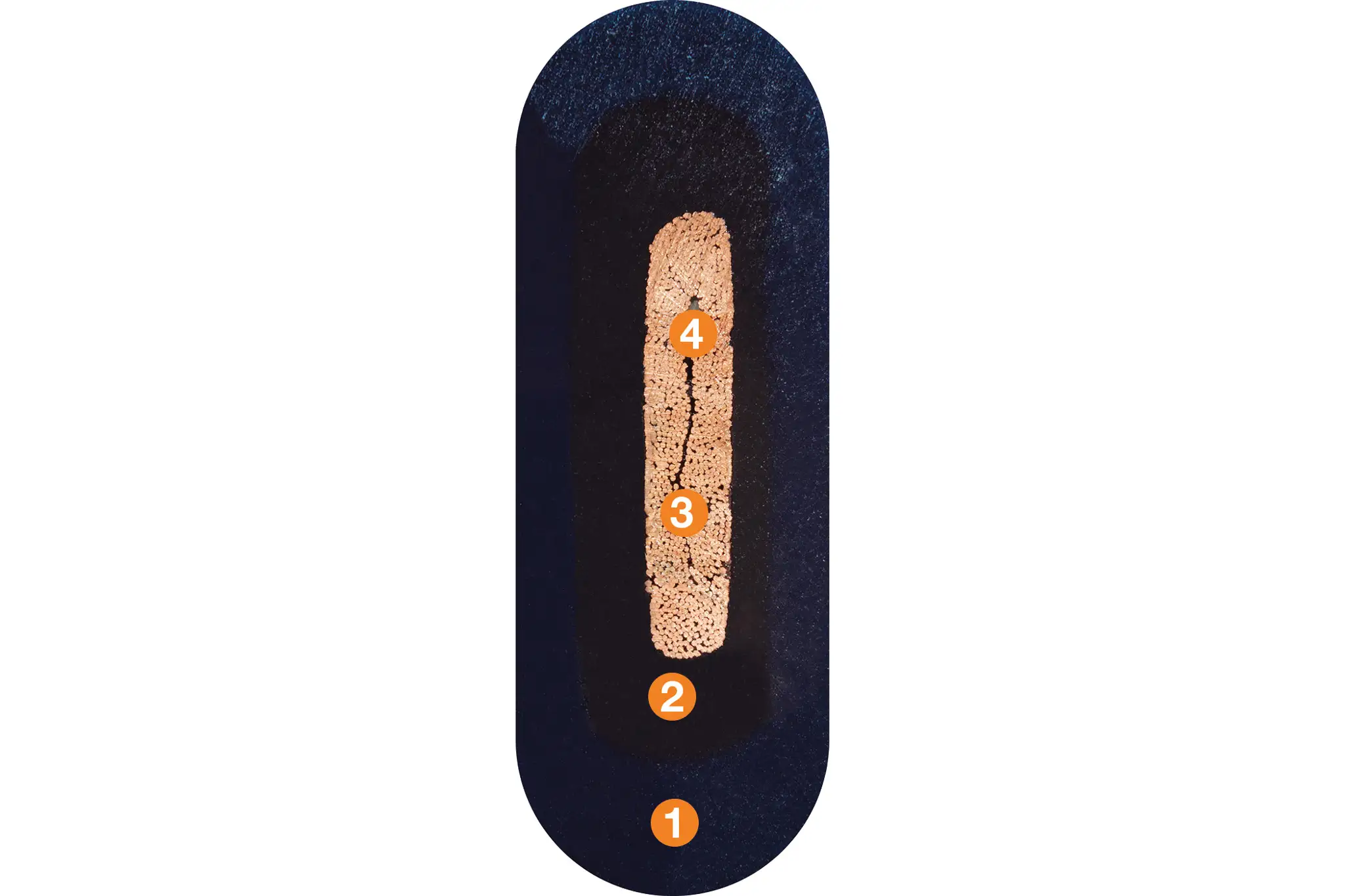 1. Pressure-extruded, halogen-free TPE mixture 2. Mechanically high-quality TPE mixture 3. High flexural strength braiding made of tinned copper wires 4. High tensile strength centre element