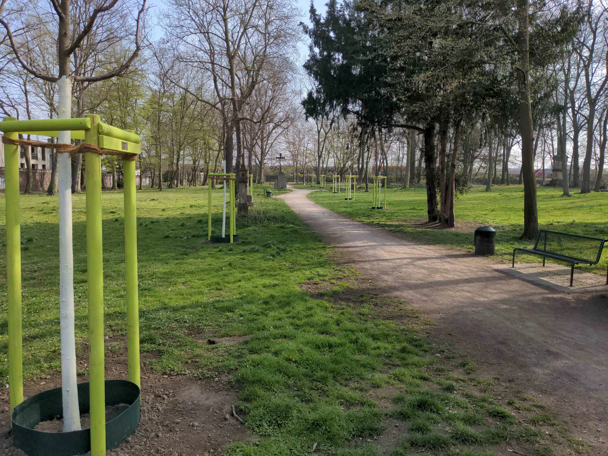 Donation d'arbres pour le Stadtgarten à Cologne Kalk