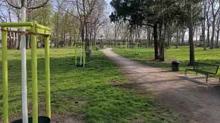 Tree donation for the city garden in Cologne Kalk