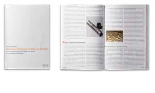 Whitepaper Vorschau