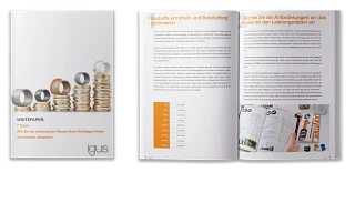 Vorschau iglidur Whitepaper