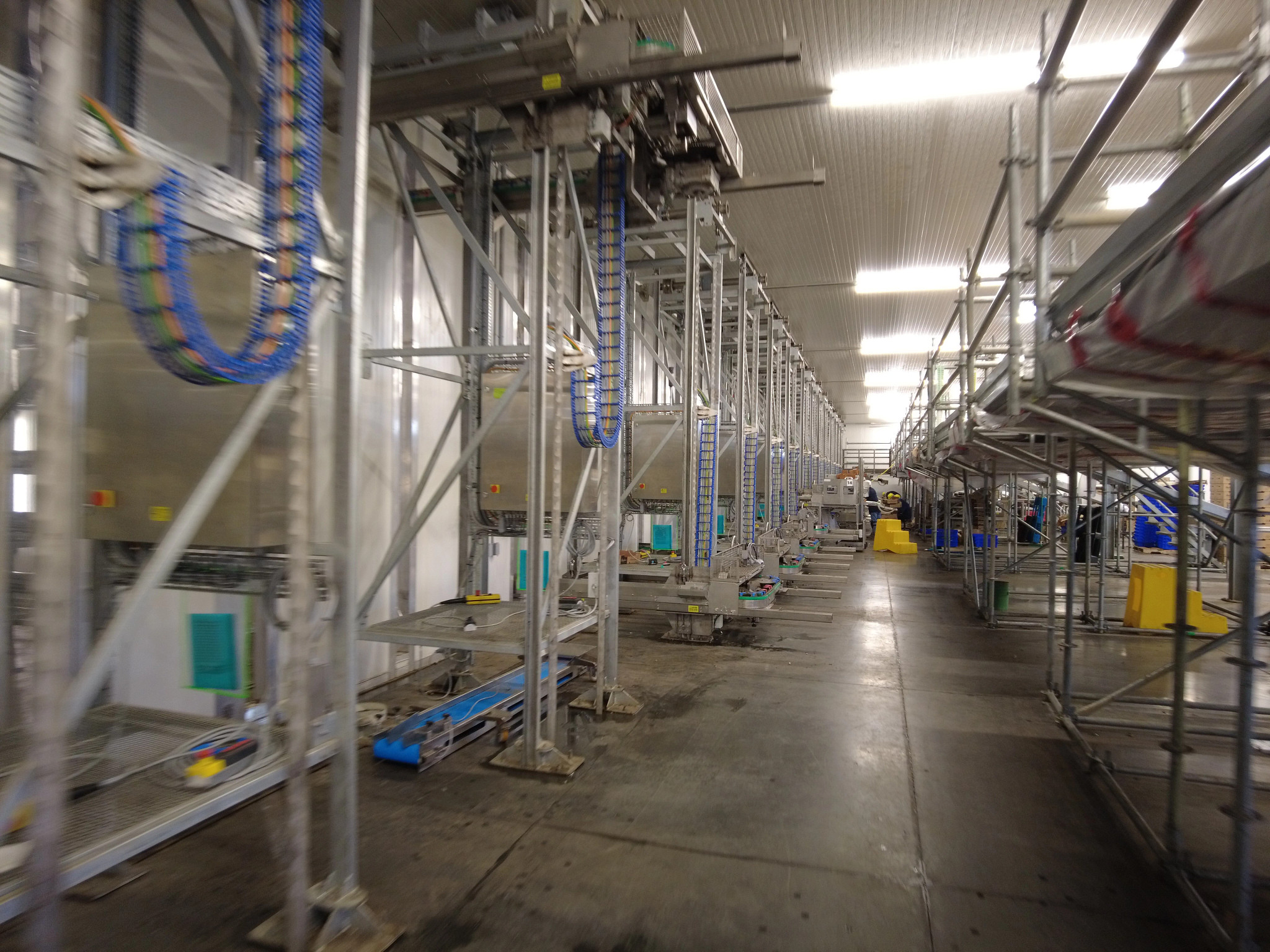 TH3 energy chain in mushroom harvesting system