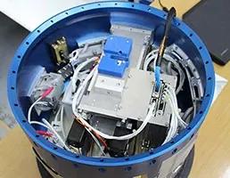 El manus de bronce®