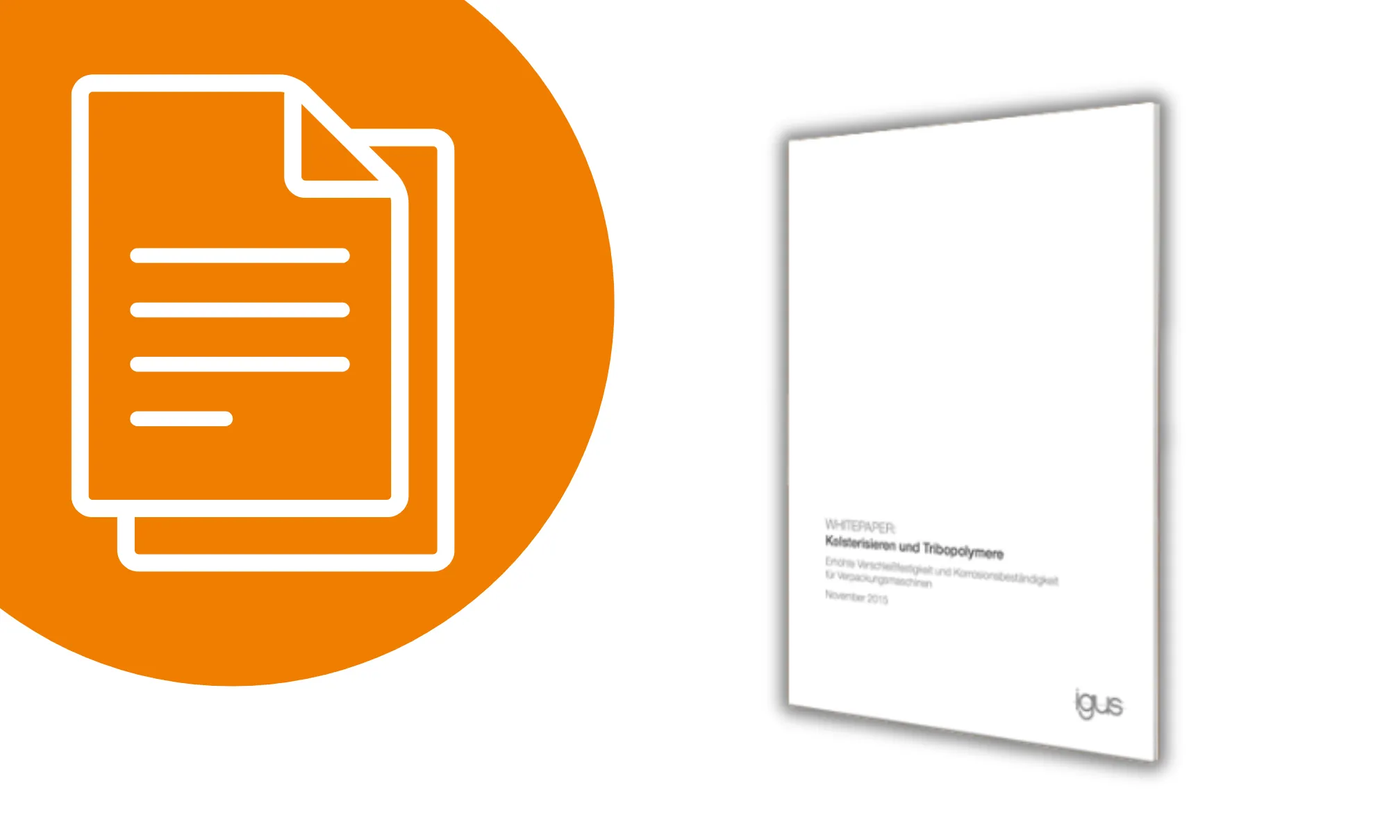 section_whitepaper_fda