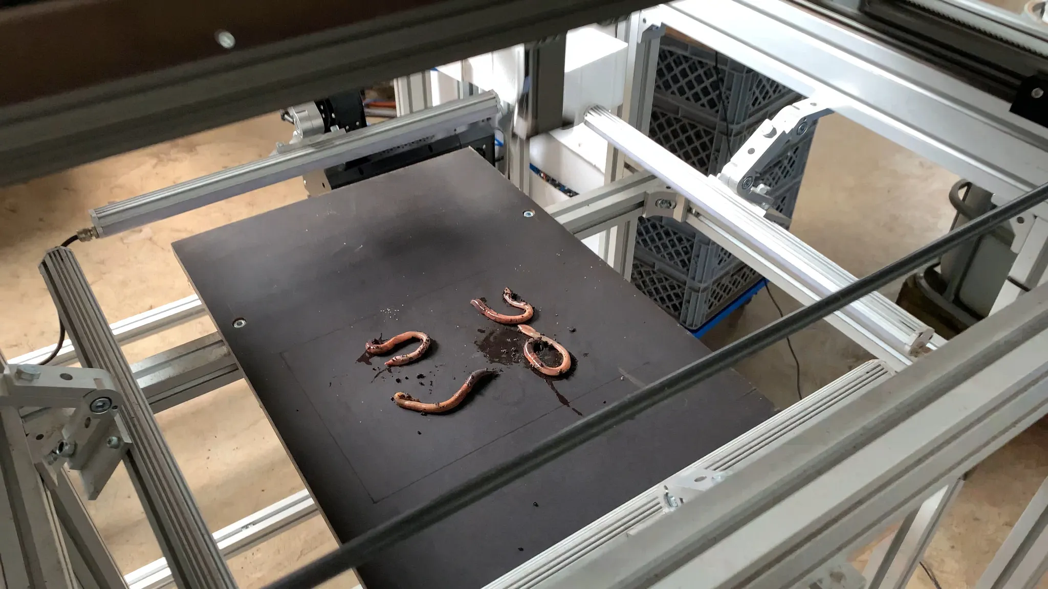 worm farming application