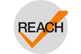 REACH ICON