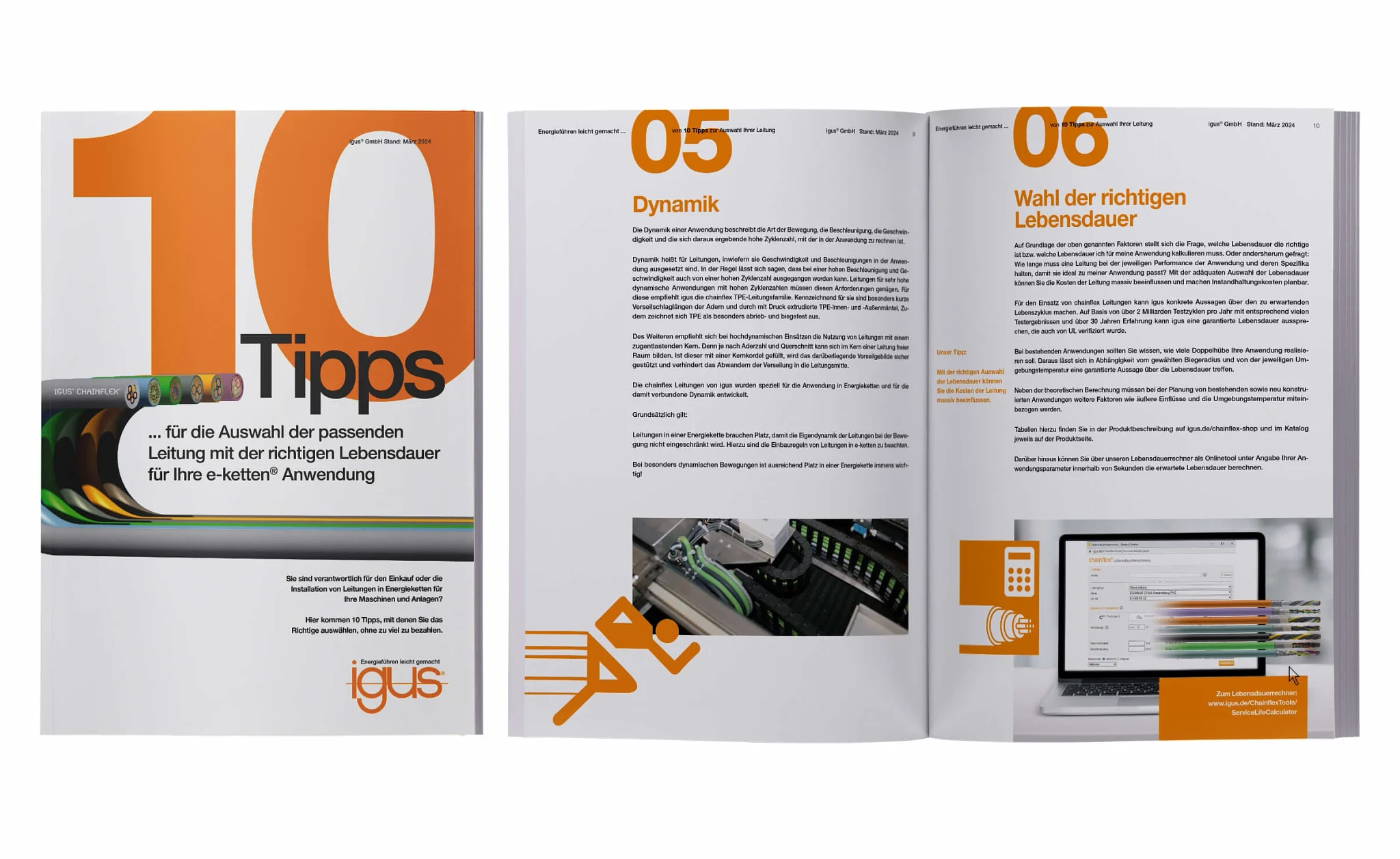 white paper-10Dicas