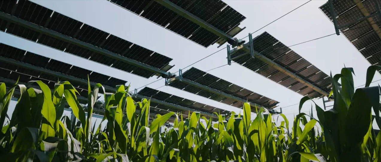 Agri-photovoltaic system from TSE