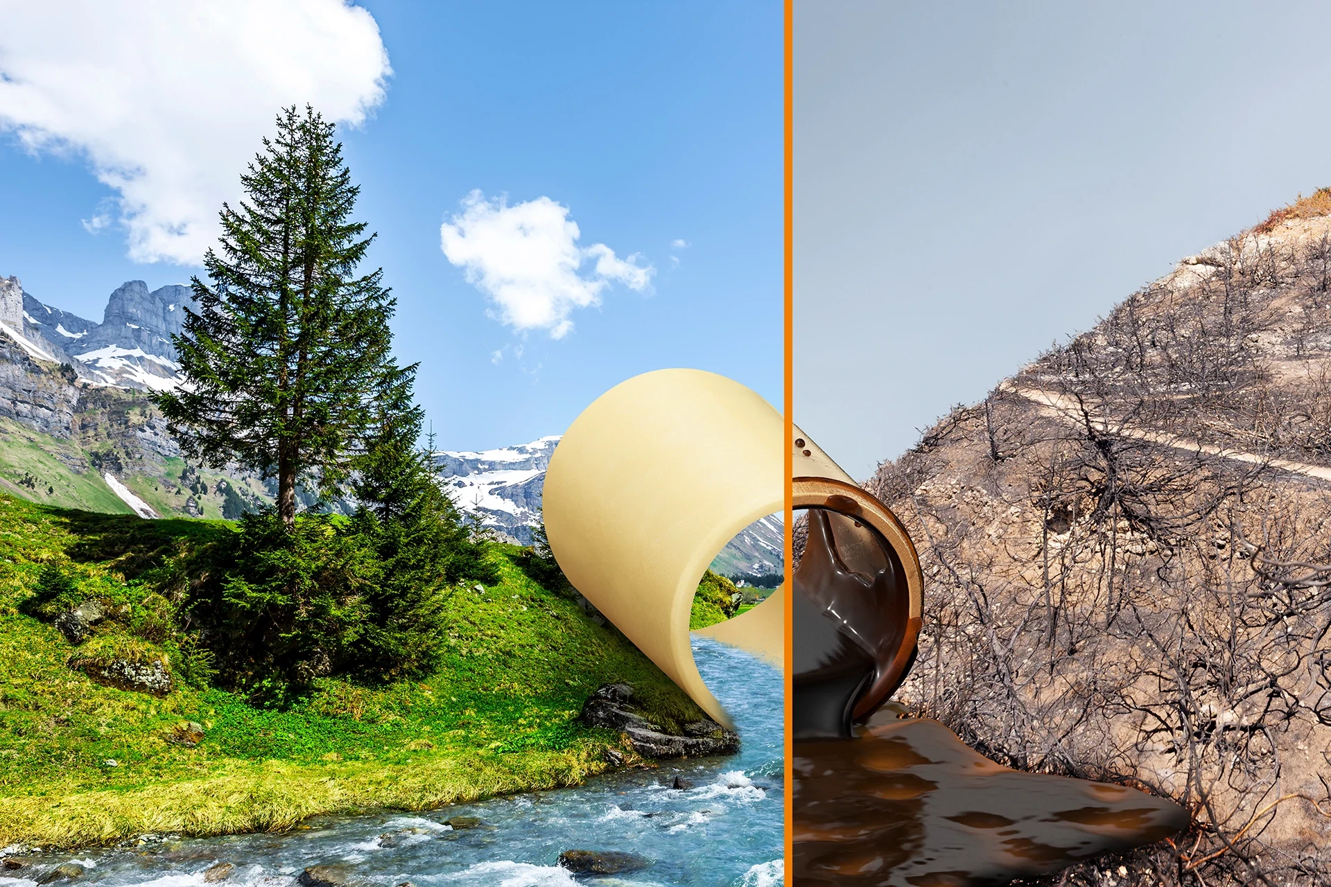 Zrównoważony rozwój i ochrona zasobów