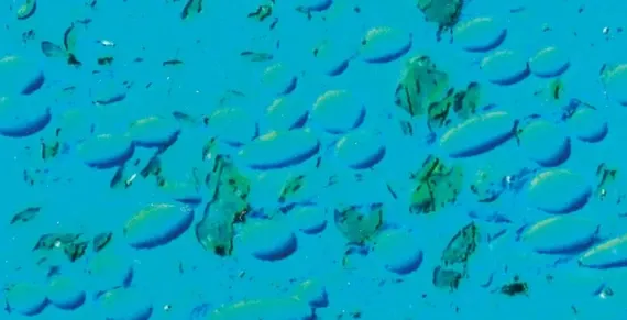 Base polymer with fibres and solid lubricants, magnified 200 times, dyed