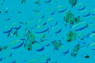 Base polymer with fibres and solid lubricants, magnified 200 times, dyed