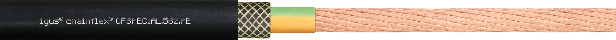 CFSPECIAL.562.PE