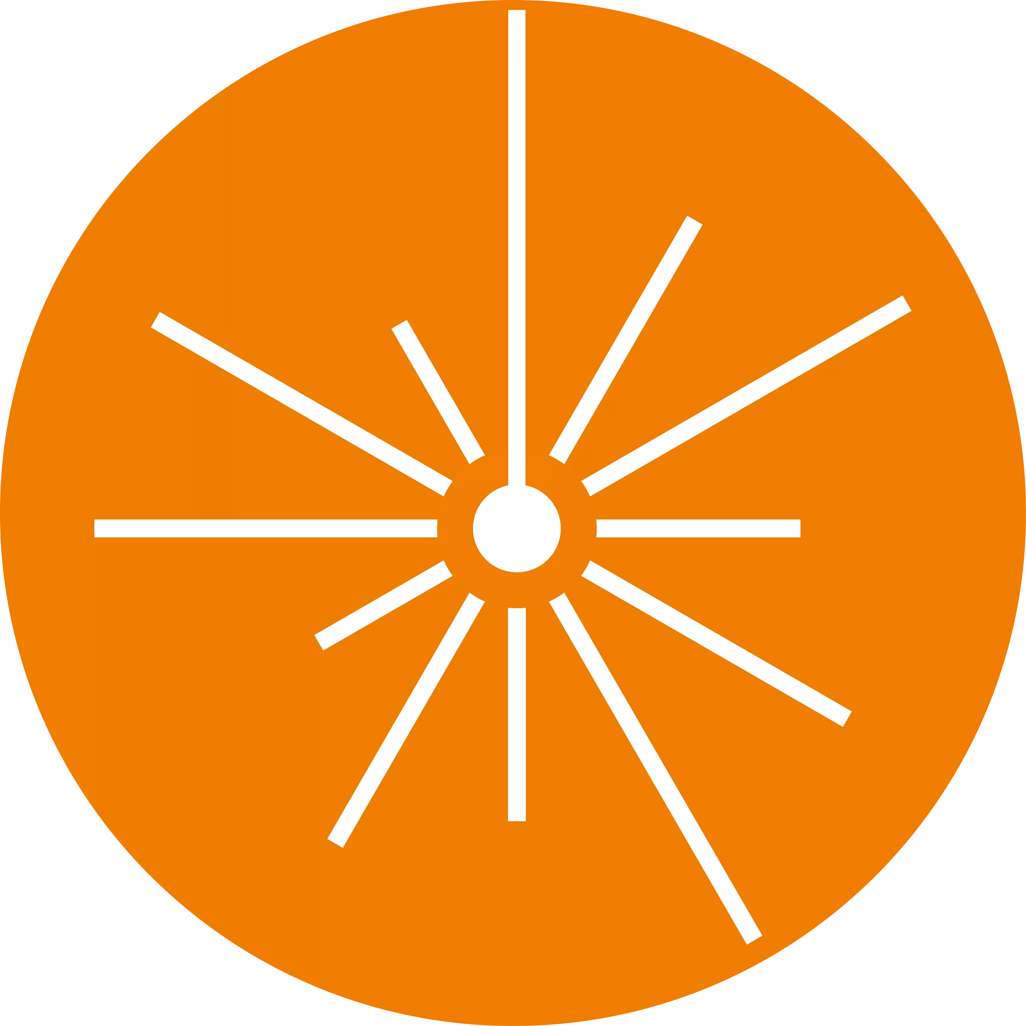 Special geometry of the component