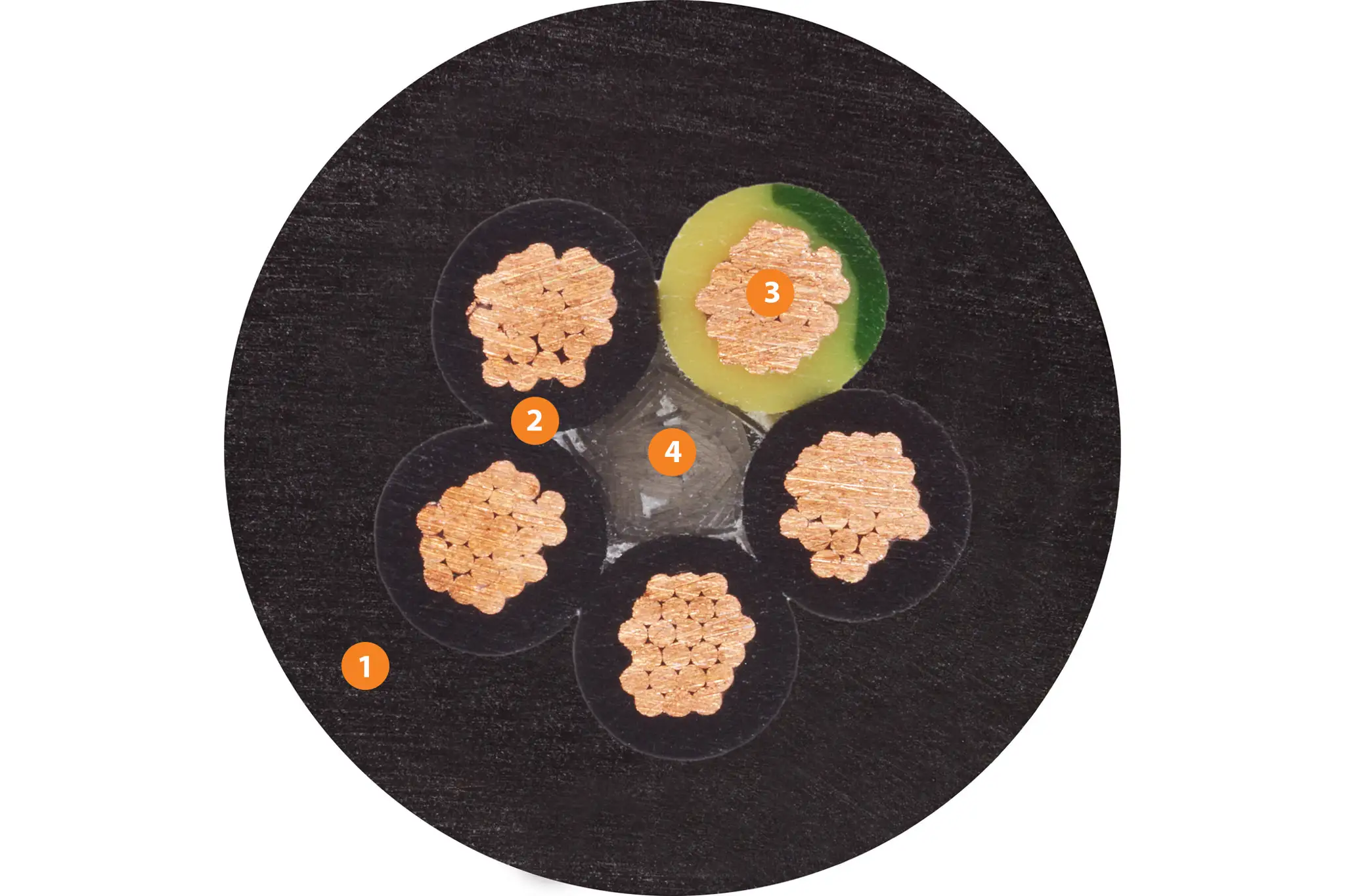 1. Mit Druck extrudierte iguPUR-Mischung 2. Mechanisch hochwertige PVC-Mischung 3. Litzenleiter aus blanken Kupferdrähten 4. Kunststofffaden
