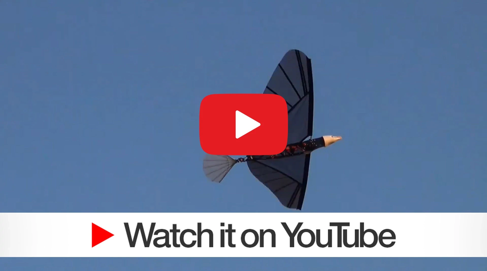 Ornithopter YouTube preview