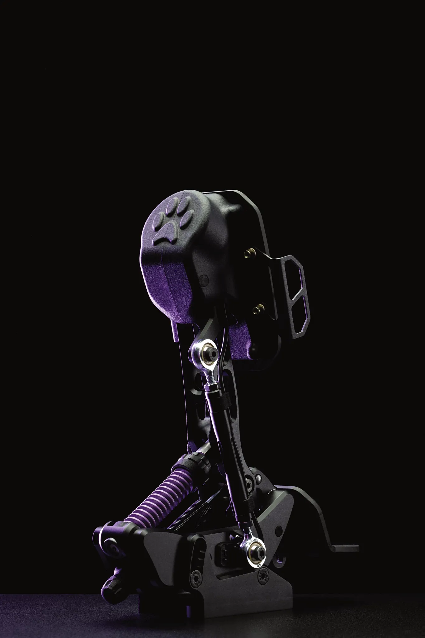 Fatblackcat Sim-Pedal Detail