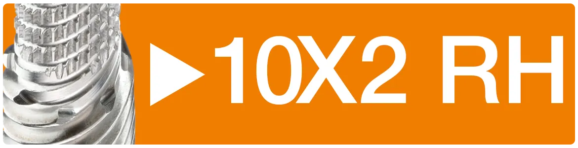 10x2 RH
