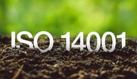 Schriftzug ISO 14001 auf Boden vor Grün