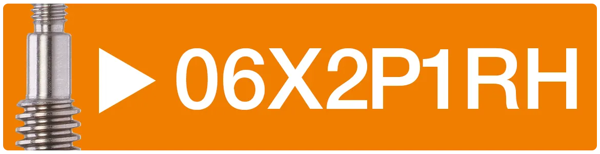 06X2P1 RH