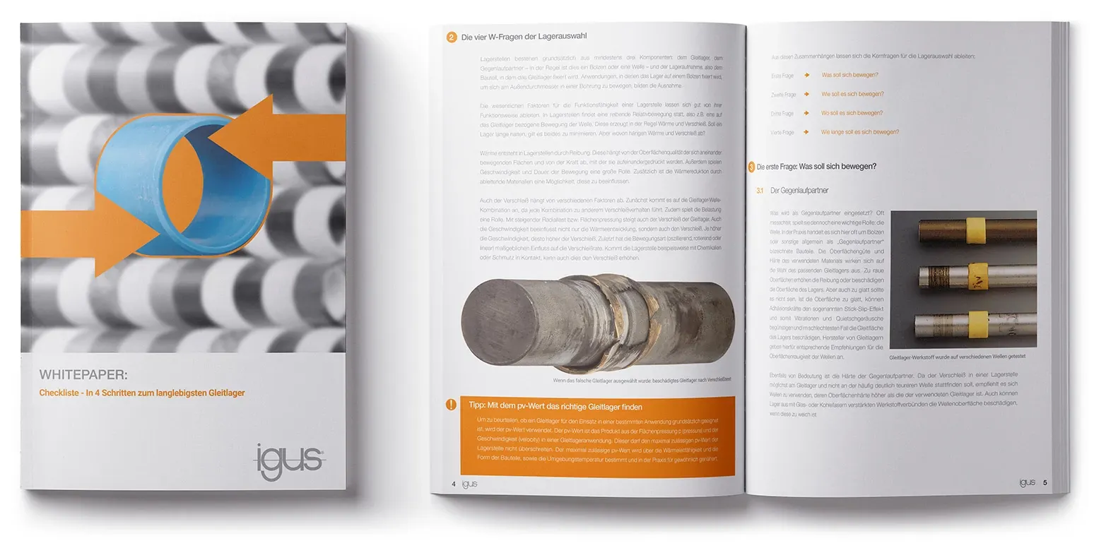 Vista previa del libro blanco