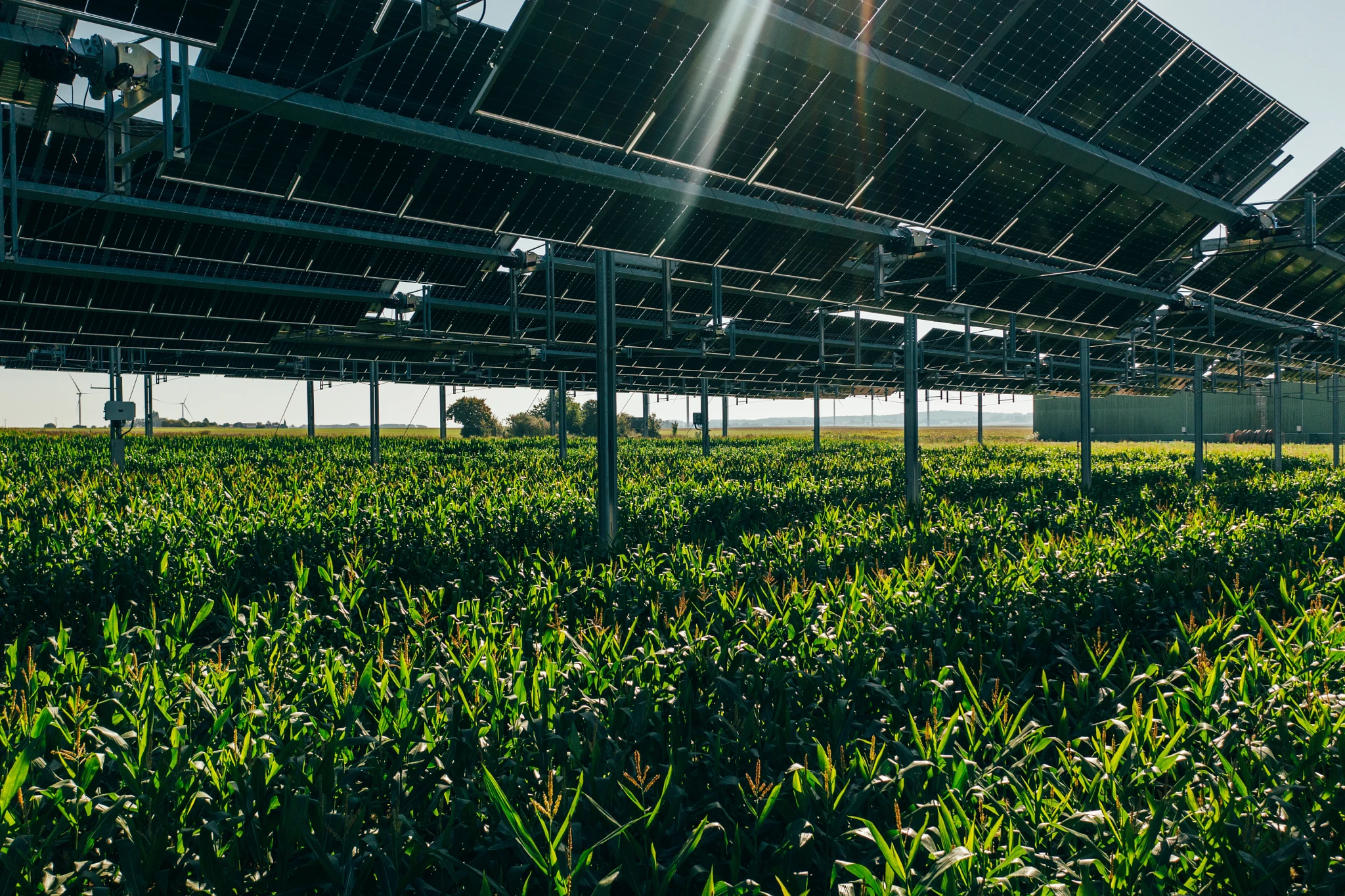 Agri-photovoltaic system from TSE