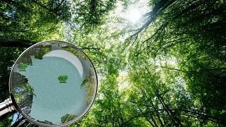 Planting campaign in France