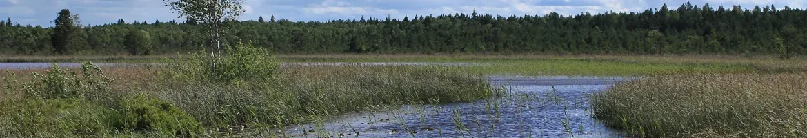 iglidur i180 sliding plates in floating mowing machines