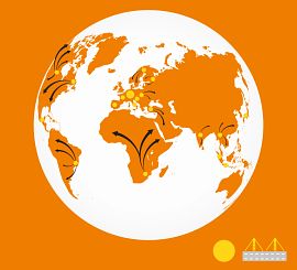 Distances de transport courtes