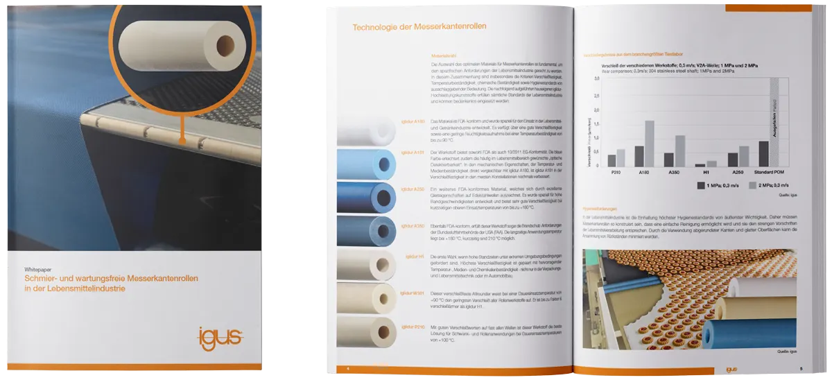 Rodillos para extremos de bandas transportadoras white paper