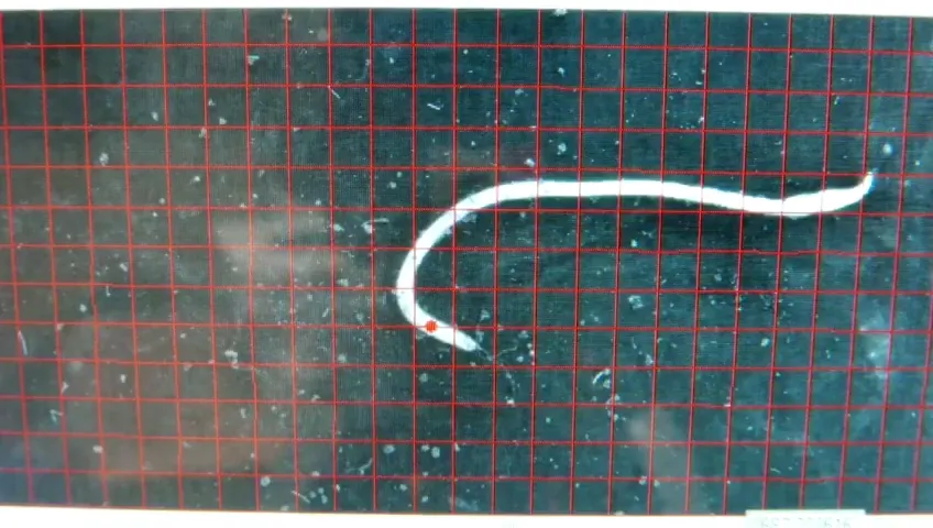 lca-farming-superwurm-II