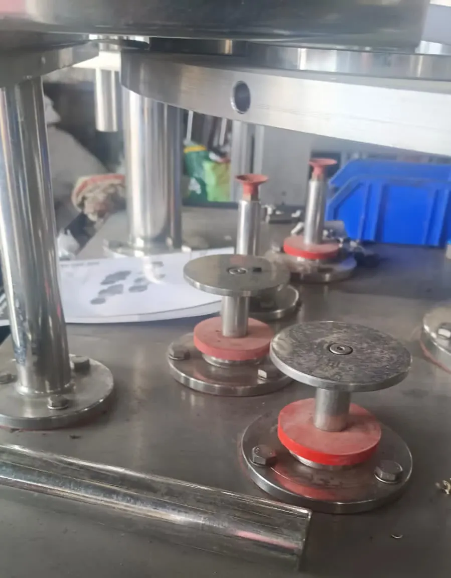 Linearführungen in der Verpackungsmaschine von Sri Lakshmi