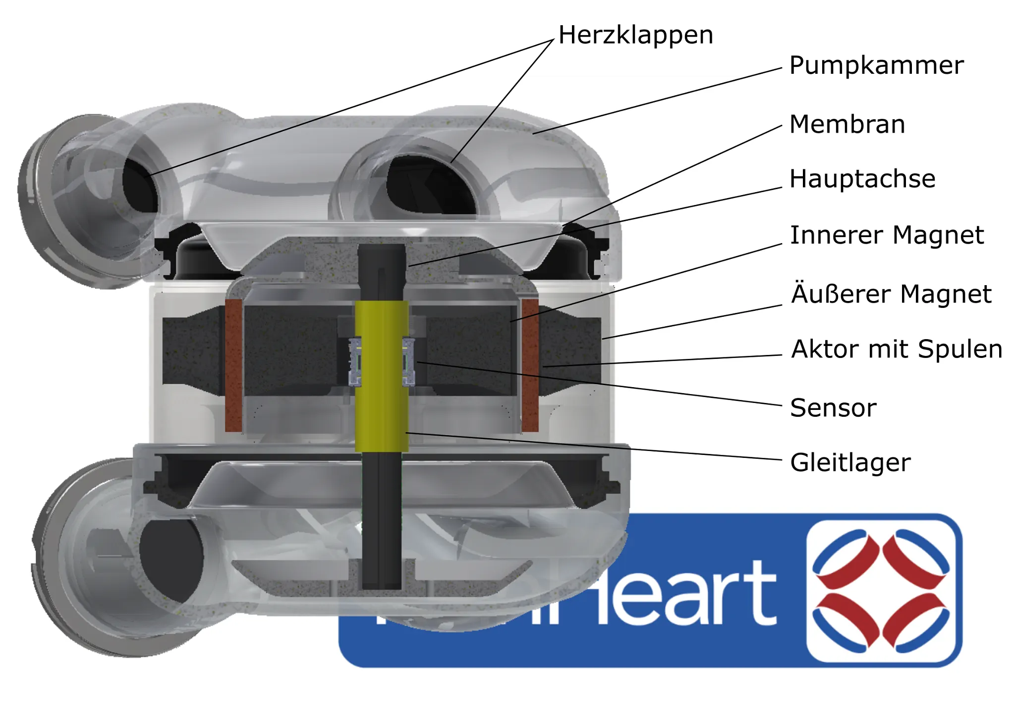 Umělé srdce ReinHeart
