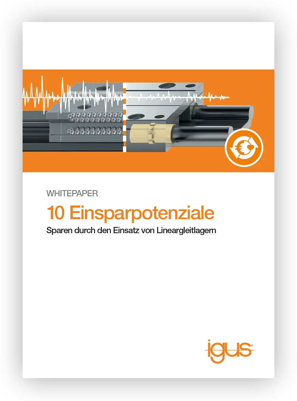 Whitepaper 10 Einsparpotenziale