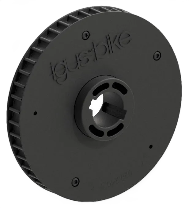 roda livre de bicicleta igus