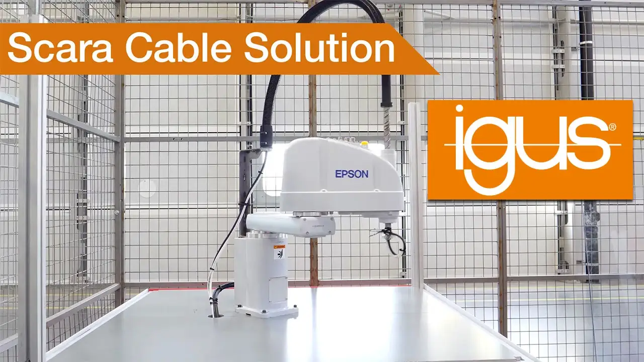 TR.SCS.29.01.16.48.01.0 video