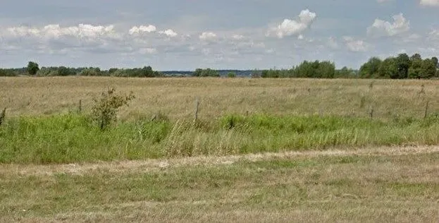 Projet de reforestation au Canada