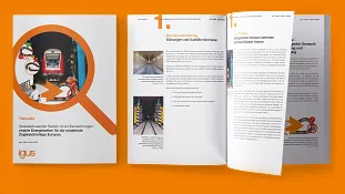 Fallstudie Zugwaschanlage