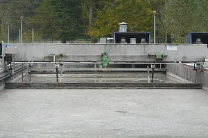 Skrapa i den primära klarningsmekanismen