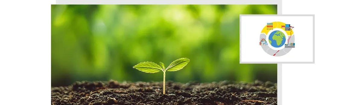 Energikedjor hållbarhet