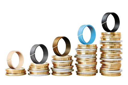 Kostengünstige Führungsringe