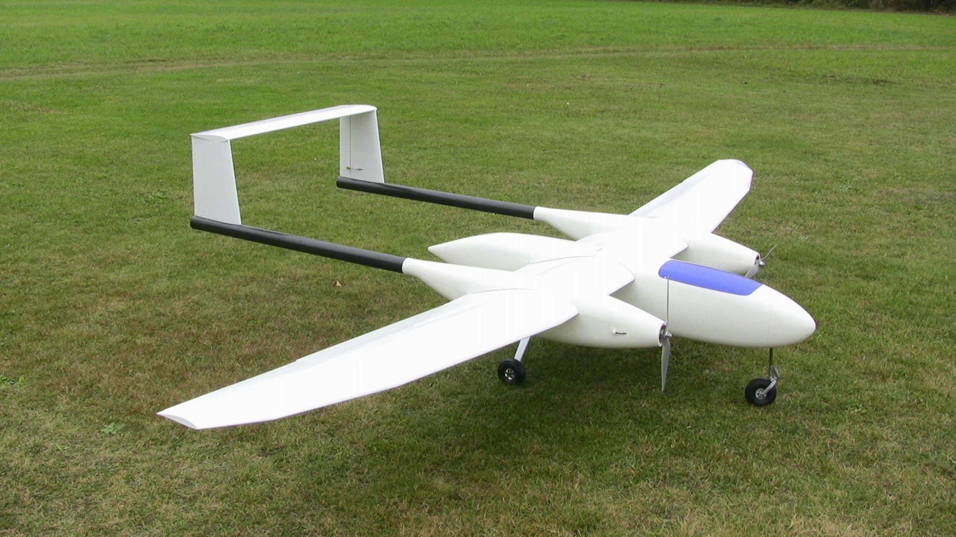 Model aeroplane: Stuttgart Eagle