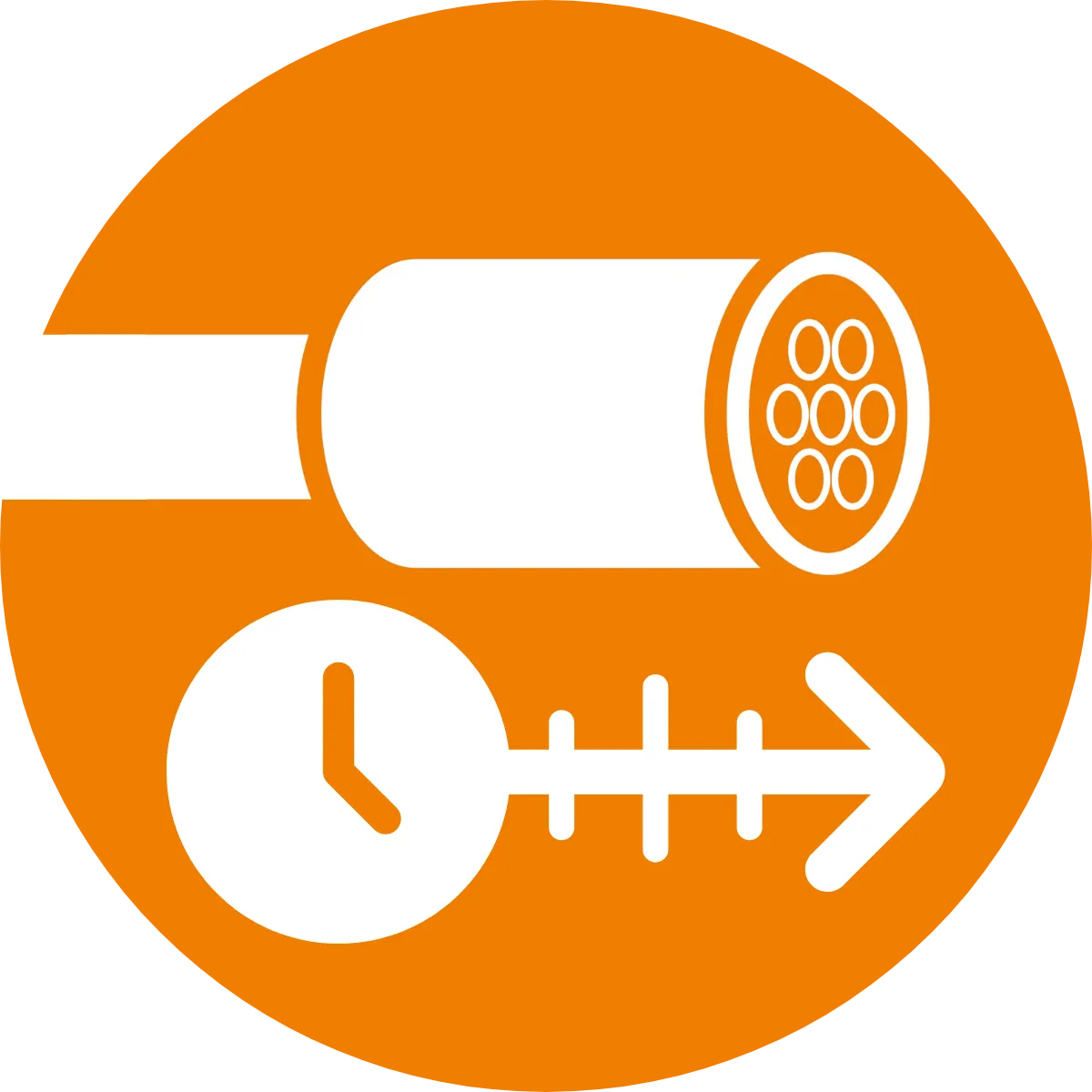 Replicabili nel tempo