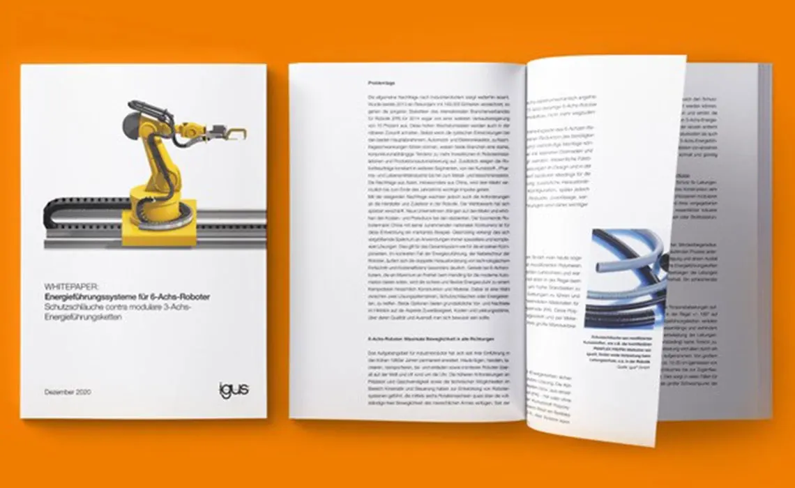 Whitepaper: seis eixos