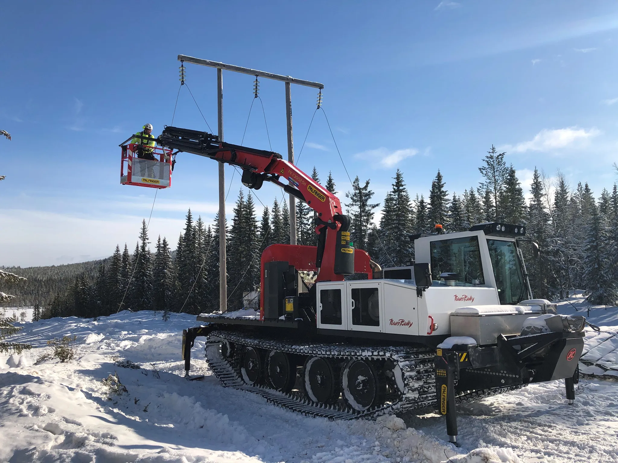 PowerBully con cuscinetti iglidur