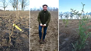 Climate forester Jan Borchert from PLANTED at the ground-breaking ceremony